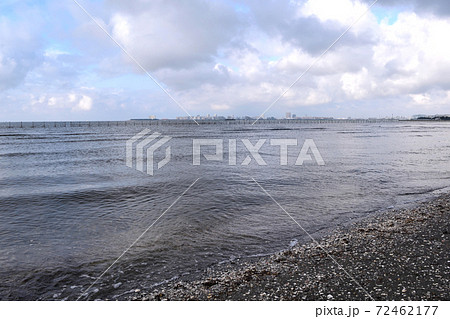 ふなばし三番瀬海浜公園 海岸 浦安方面 72462177