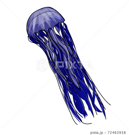 Animal digital drawing Transparent png Animal digital drawing Transparent png 72463938