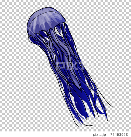 Animal digital drawing Transparent png Animal digital drawing Transparent png 72463938