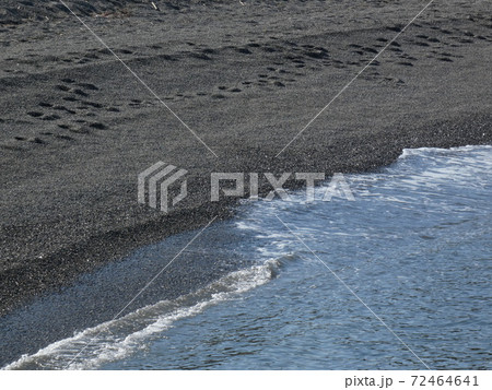 砂浜に打ち寄せる穏やかな波 砂浜に打ち寄せる穏やかな波 72464641
