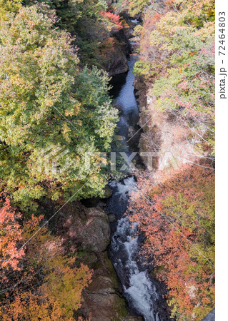 【吹割大橋からの渓流と紅葉】 【吹割大橋からの渓流と紅葉】 72464803