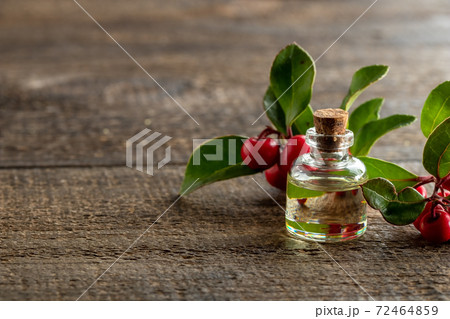 Essential oil bottle with fresh wintergreen twigs 72464859