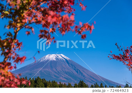 【道の駅朝霧高原からの富士山と紅葉】 【道の駅朝霧高原からの富士山と紅葉】 72464923
