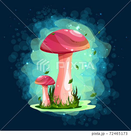 Mushrooms. Boletus. Magic drawings with mushrooms. Against a dark background with uman and fire flashers. A beautiful, mysterious sticker. Modern colors and lines. 72465173