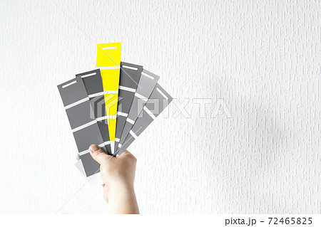 Yellow and gray swatches in hand Yellow and gray swatches in hand 72465825
