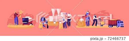 Characters Producing Flour Concept. Wheat Manufacture Process, Bread Industry. People Growing, Harvesting, Mowing 72466737