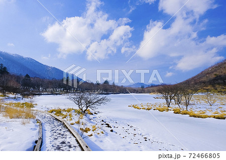 雪の覚満淵 72466805