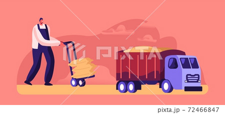 Worker Loading Sacks with Flour on Truck, Cereals Manufacture, Production, Character Producing Wheat. Bread Industry 72466847