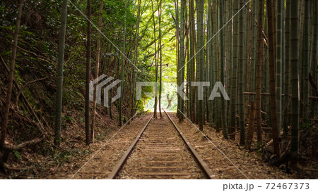 旧国鉄倉吉線廃線跡 旧国鉄倉吉線廃線跡 72467373