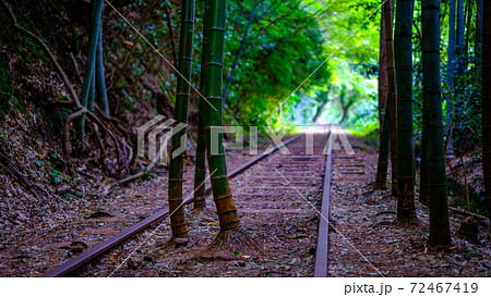 旧国鉄倉吉線廃線跡 72467419