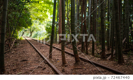 旧国鉄倉吉線廃線跡 72467440