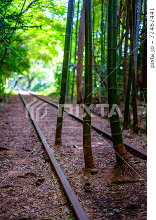 旧国鉄倉吉線廃線跡 72467441