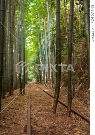 旧国鉄倉吉線廃線跡 旧国鉄倉吉線廃線跡 72467445