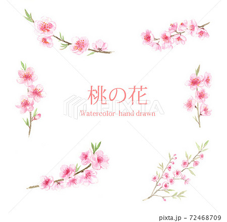 桃の花 水彩イラストセットのイラスト素材