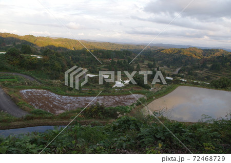 星峠の棚田 72468729