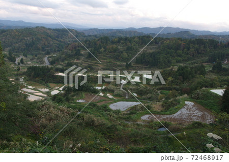 星峠の棚田 72468917