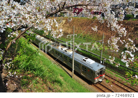 東急池上線、洗足池・石川台駅間を走る各駅停車(7700系) 東急池上線、洗足池・石川台駅間を走る各駅停車(7700系) 72468921