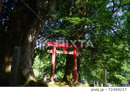 鳥居 鳥居 72469237