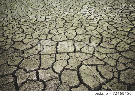 乾燥でひび割れた緑褐色の大地　a-4 明るめ フィルム調 72469450