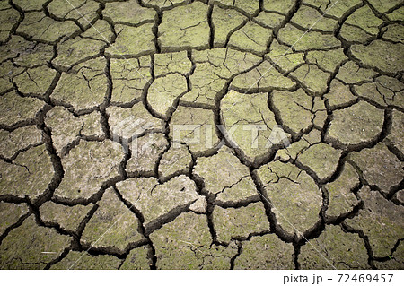 乾燥でひび割れた緑褐色の大地　c-3 明るめ 72469457
