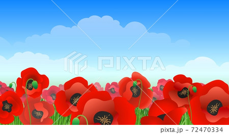 Illustrated poppy field landscape 72470334