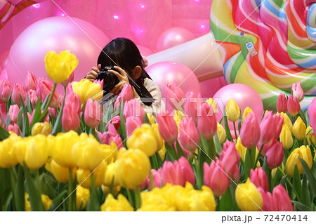 砺波チュリーップ四季彩館へ1 砺波チュリーップ四季彩館へ1 72470414