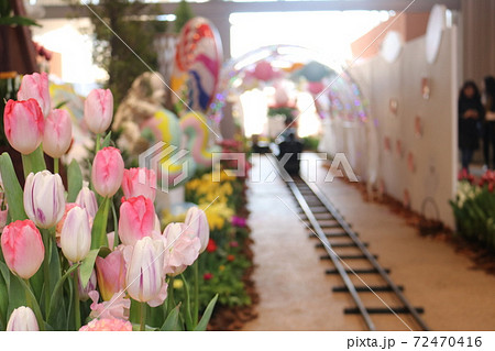 砺波チュリーップ四季彩館へ2 72470416