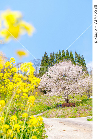 山村の春 山村の春 72470588