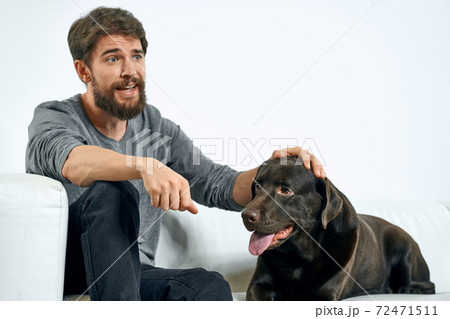 man with a black dog on a white sofa on a light background close-up cropped view pet human friend emotions fun 72471511