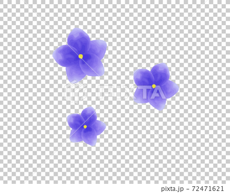 青紫色の花のベクターイラストのイラスト素材