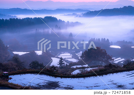 新潟県 星峠の棚田 雲海の薄明の写真素材