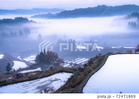 新潟県 星峠の棚田 雲海の薄明の写真素材