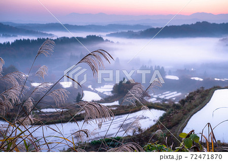 新潟県 星峠の棚田 雲海の薄明の写真素材