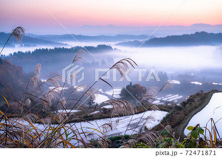 新潟県 星峠の棚田 雲海の薄明の写真素材
