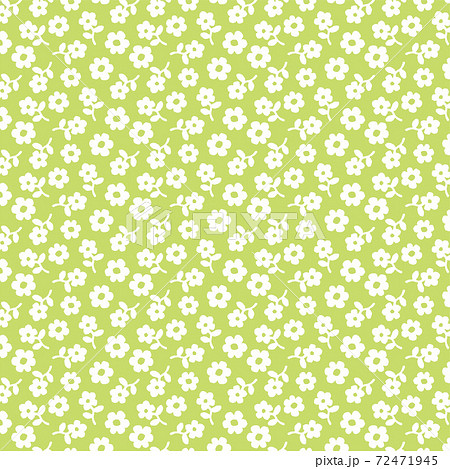 背景　レトロな小花柄　黄緑 72471945