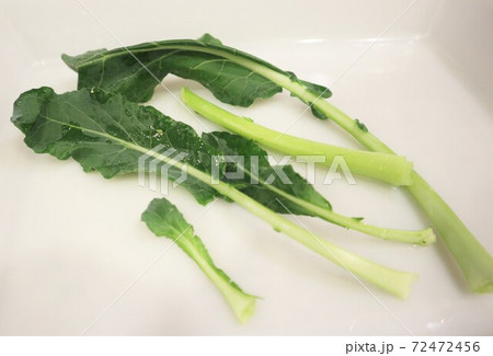 くず野菜（ブロッコリーの葉） 72472456