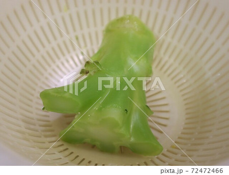 捨てちゃう野菜・茹でたブロッコリーの茎 72472466