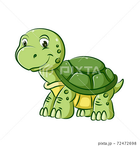 Young Turtle With The Green Shell Is Walking のイラスト素材