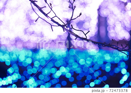 敦賀港イルミネーション「ミライエ」2020 敦賀港イルミネーション「ミライエ」2020 72473378