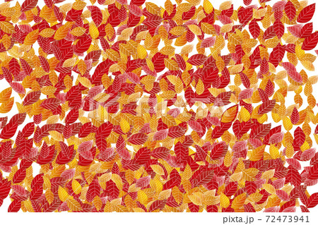 秋の紅葉の落ち葉 秋の紅葉の落ち葉 72473941