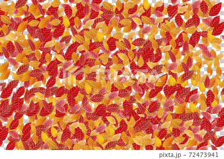 秋の紅葉の落ち葉 秋の紅葉の落ち葉 72473941