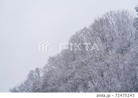 雪が積もり始めた山並み 宮城県仙台市 雪が積もり始めた山並み 宮城県仙台市 72475245