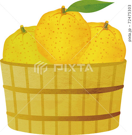 冬 ゆず ゆず湯 果物 水彩 イラスト素材のイラスト素材