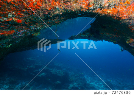 岩の下に溜まった空気と鏡面反射する珊瑚 (シミラン諸島、タイ王国) 72476386