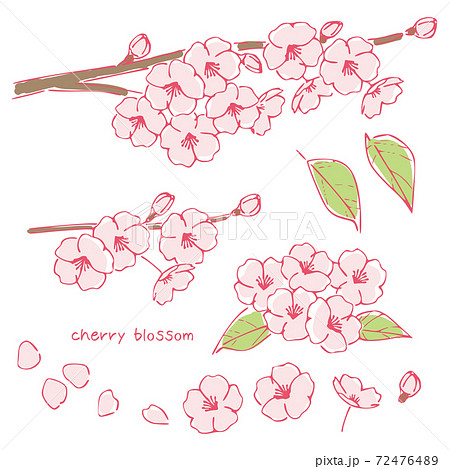 Handwritten Style Cherry Blossoms Cherry Tree Stock Illustration