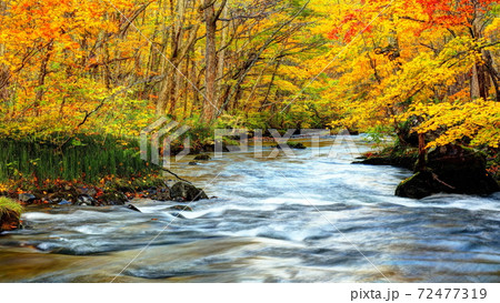 錦秋奥入瀬 錦秋の奥入瀬渓流の写真素材 [70966287] - PIXTA
