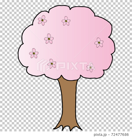 満開のソメイヨシノ（風）な木のイラスト 72477686