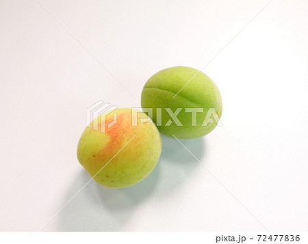 ウメ　梅　うめ 72477836