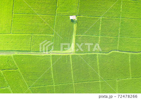 Aerial view of cultivated land. Aerial view of cultivated land. 72478266