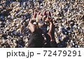 Close-up hands of a girl who collect seashells 72479291